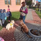 Canisterapie ve školce