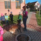 Canisterapie ve školce