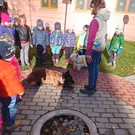 Canisterapie ve školce