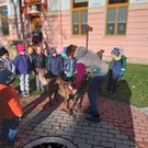 Canisterapie ve školce