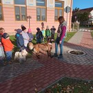 Canisterapie ve školce