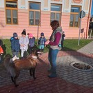 Canisterapie ve školce