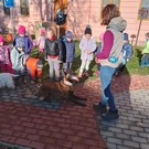 Canisterapie ve školce