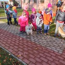 Canisterapie ve školce