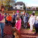Canisterapie ve školce