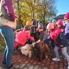 Canisterapie ve školce