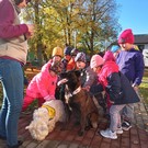 Canisterapie ve školce