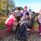 Canisterapie ve školce