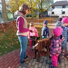 Canisterapie ve školce