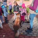 Canisterapie ve školce