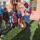 Canisterapie ve školce
