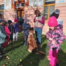 Canisterapie ve školce