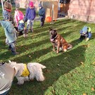 Canisterapie ve školce