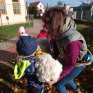 Canisterapie ve školce