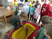 	Kapřík Pepa ve školce	