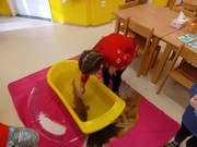 	Kapřík Pepa ve školce	