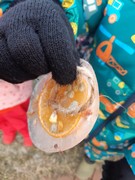 	Ledové ozdoby pro ptáčky	