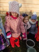 	Ledové ozdoby pro ptáčky	