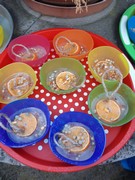 	Ledové ozdoby pro ptáčky	