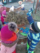 	Ledové ozdoby pro ptáčky	