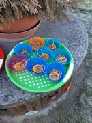 	Ledové ozdoby pro ptáčky	