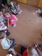 	Muzeum přírody Český ráj - obojživelníci	