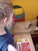 	Muzeum přírody Český ráj - obojživelníci	