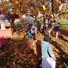 Pracujeme na zahrádce na podzim