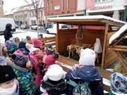 	Výlet do vánočního Nymburka	