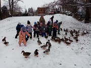 	Výlet do vánočního Nymburka	