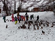 	Výlet do vánočního Nymburka	