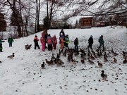 	Výlet do vánočního Nymburka	