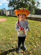 	Hrdá škola - Den šílených klobouků	