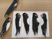 	Keramika - vlaštovky	