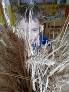 	Kuchařský den – pečeme rohlíky, housky a chléb	