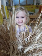 	Kuchařský den – pečeme rohlíky, housky a chléb	