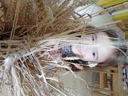 	Kuchařský den – pečeme rohlíky, housky a chléb	