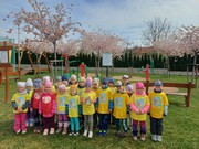 	Peříčkový týden	