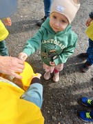 	Peříčkový týden	