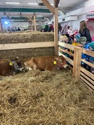 	Výlet do Lysé nad Labem - Výstaviště	