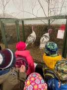 	Výlet do Lysé nad Labem - Výstaviště	