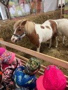 	Výlet do Lysé nad Labem - Výstaviště	