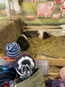 	Výlet do Lysé nad Labem - Výstaviště	