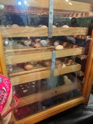 	Výlet do Lysé nad Labem - Výstaviště	