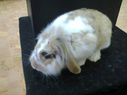 Kouzelník v MŠ pan Jan Maruška