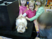 Kouzelník v MŠ pan Jan Maruška