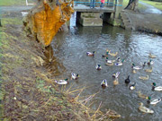 Návšteva knihovny Nymburk