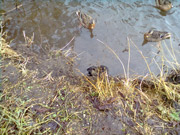 Návšteva knihovny Nymburk