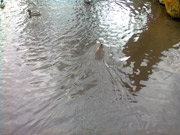 Návšteva knihovny Nymburk