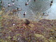 Návšteva knihovny Nymburk